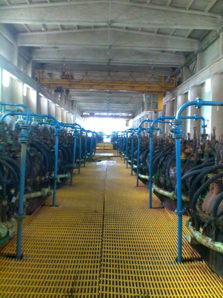 W020241121375649238907