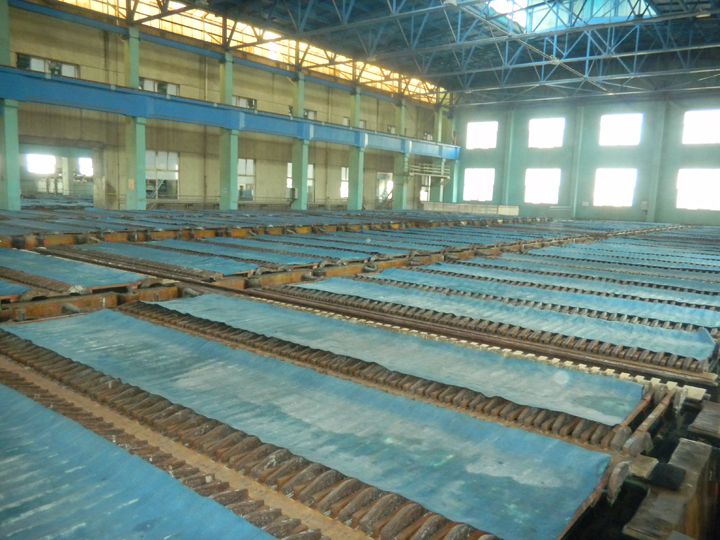 W020241121369707653763