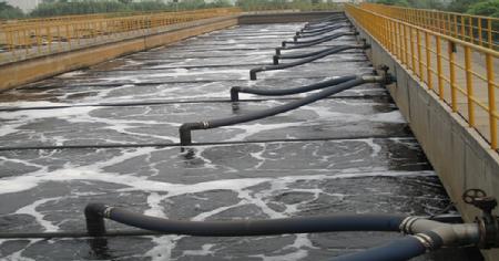 W020241121370503625902