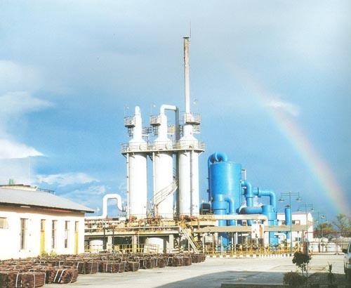 W020241119527171435021