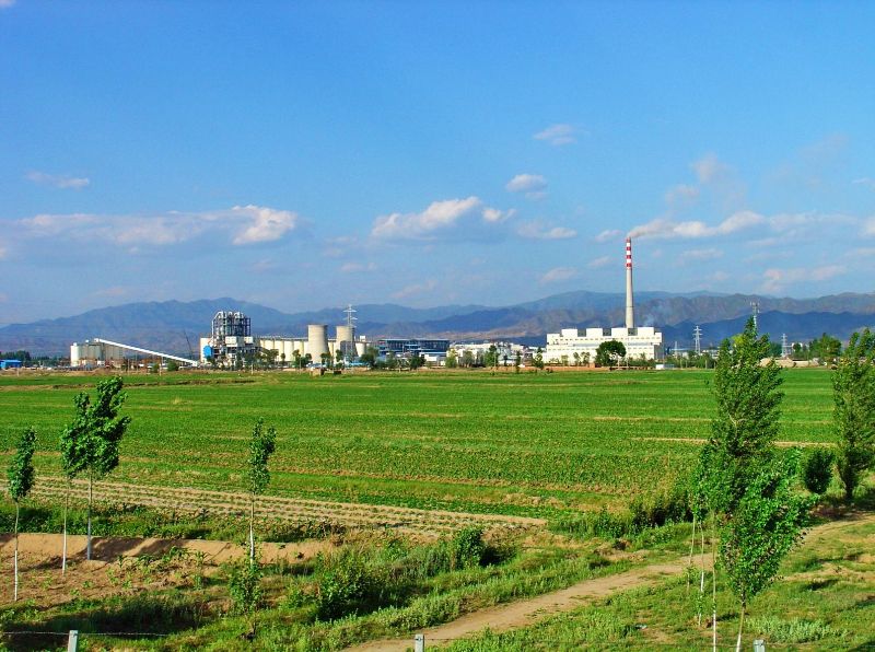 W020241119525552681975